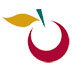 Department of Health Services logo