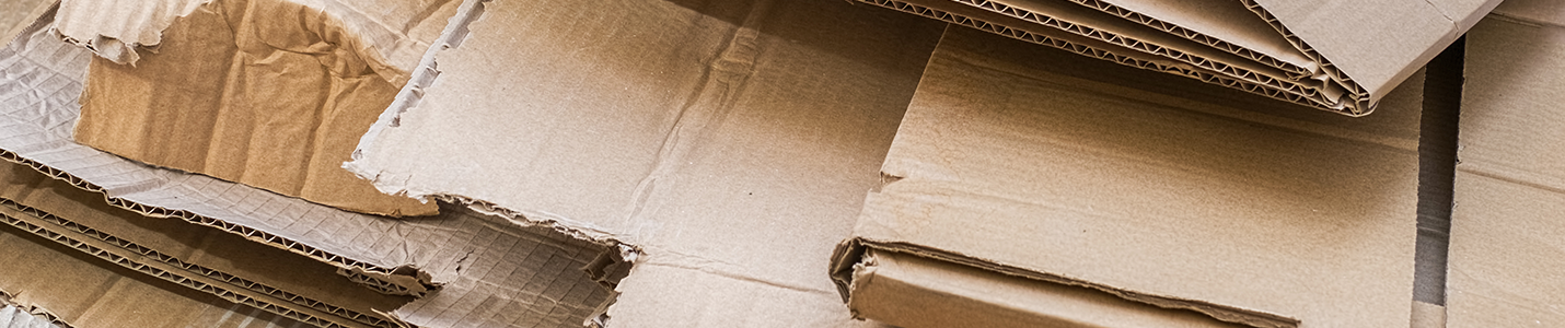 Image of cardboard pieces