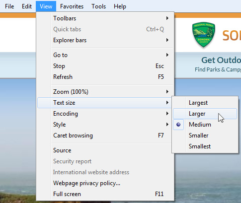 text size in IE